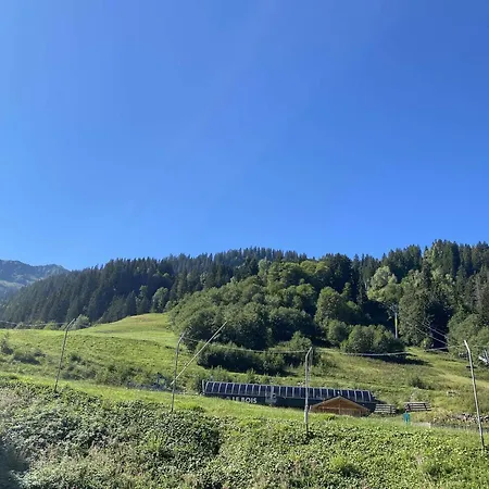 Mezzanine Proche Pistes - 4 Pers. * Beaufort (Savoie)